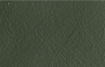 green upholstery leather-Rosanil quality 