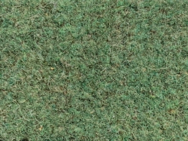 Velour Teppich - grün 